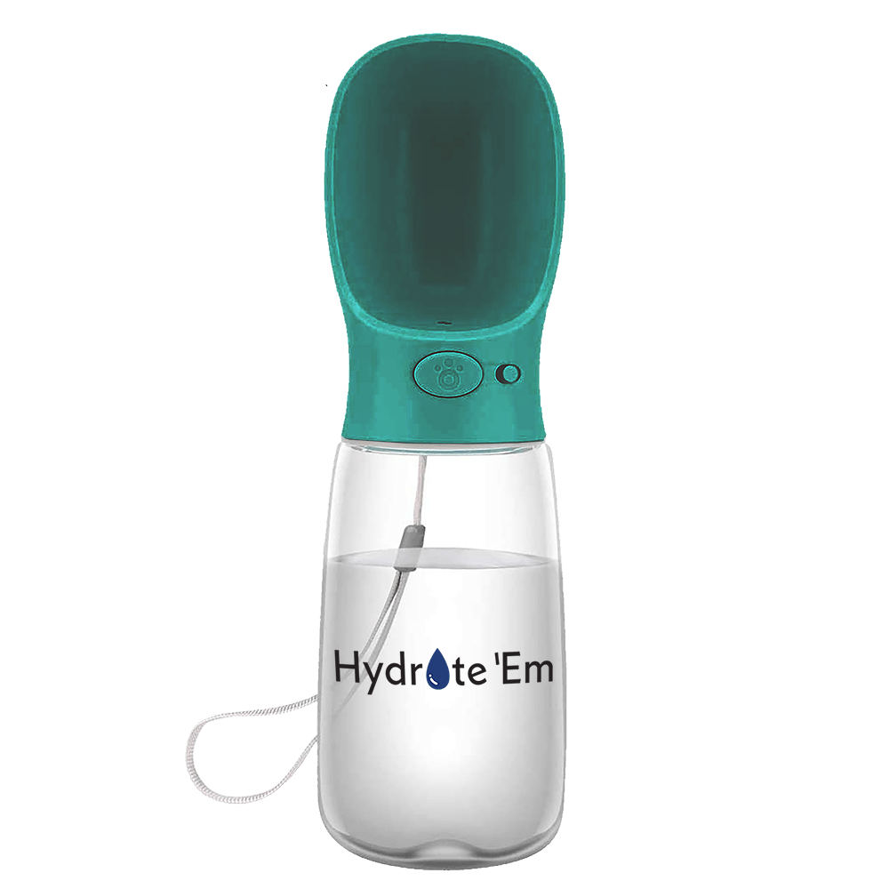 Hydrate'Em travel water bottle 550ml blue