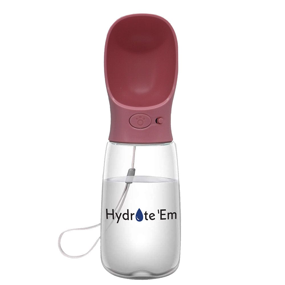 Hydrate'Em travel water bottle 550ml pink