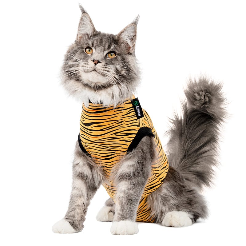 cat in a tiger Suitical® Recovery Suit for Cats sitting down
