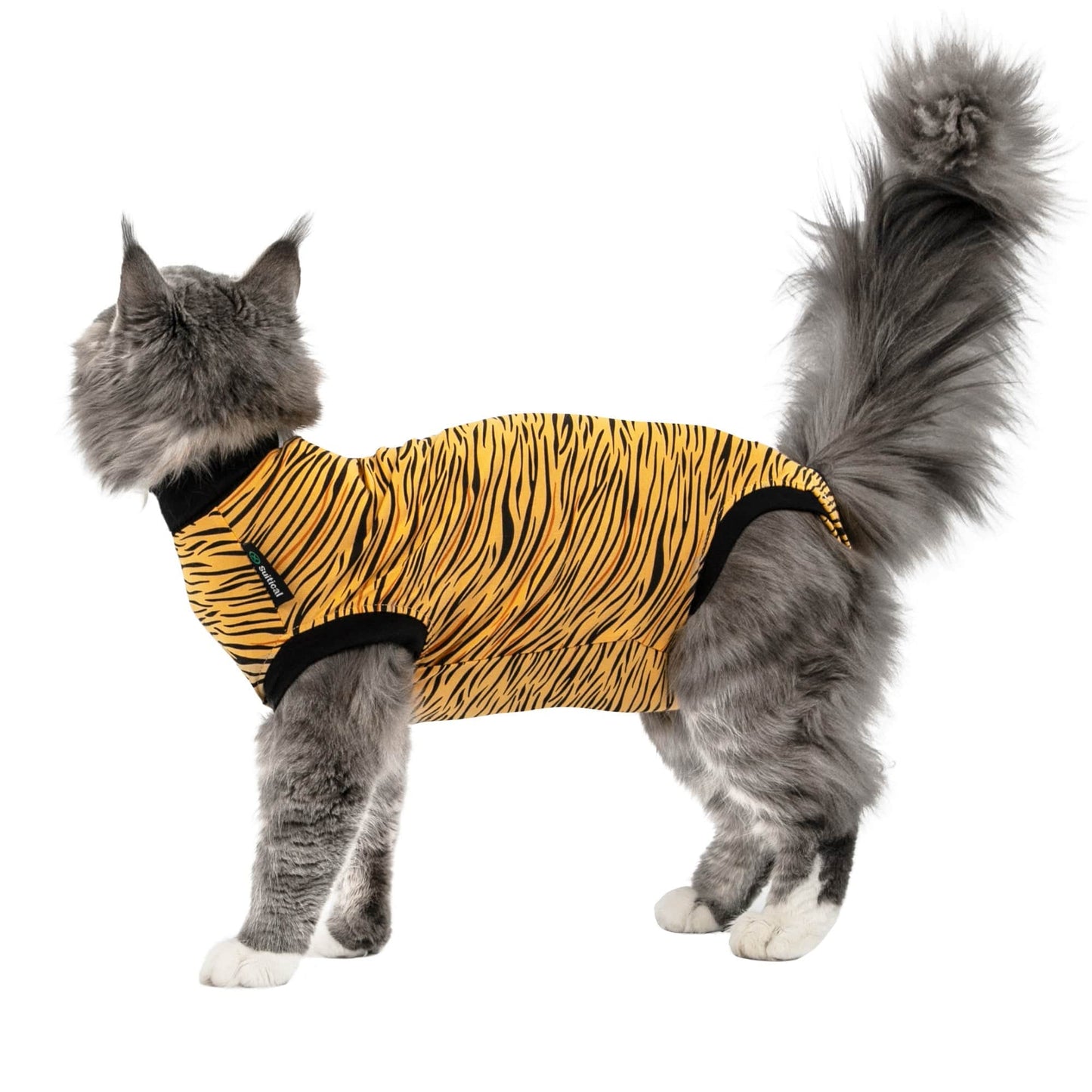 cat walking around wearing a tiger Suitical® Recovery Suit for Cats