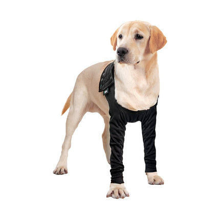 labrador wearing double front leg sleeves for dogs