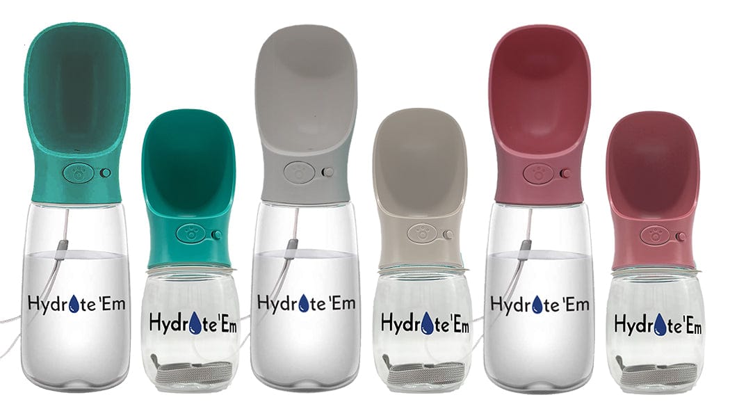 group shot of all Hydrate'Em travel water bottles