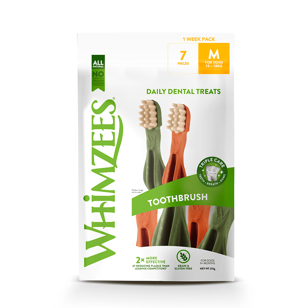 Whimzees Toothbrush Star - Natural, Gluten-Free Dental Chew for Dogs