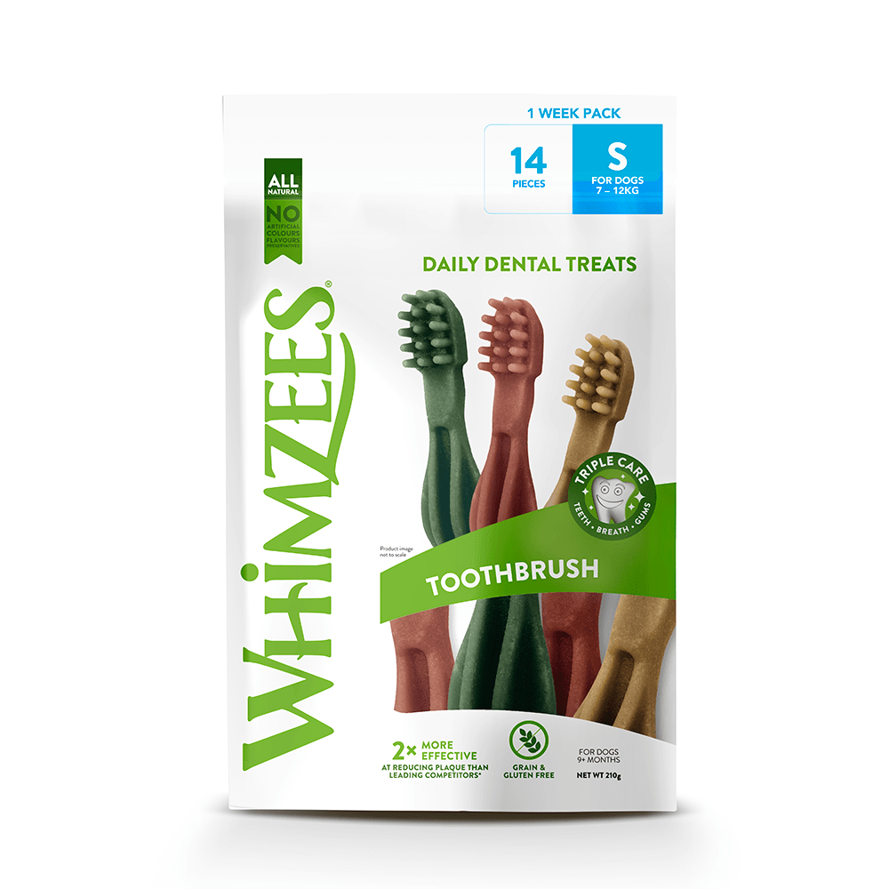 Whimzees Toothbrush Star - Natural, Gluten-Free Dental Chew for Dogs