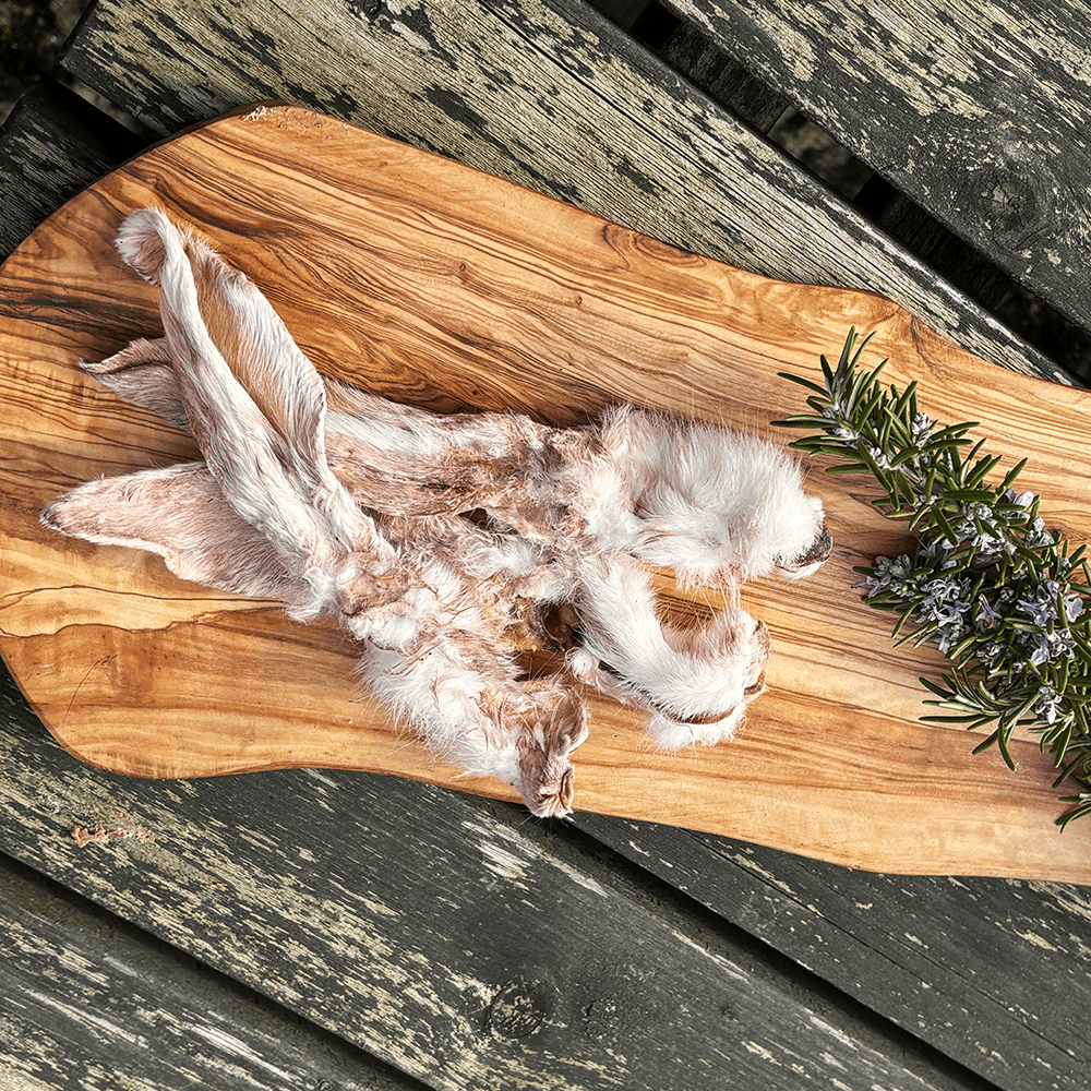 Why Natural Treats Are the Best Thing You Can Give Your Dog