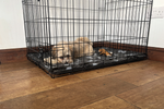 What to Put in a Dog Crate to Make It Comfortable