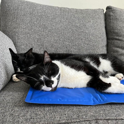 Cool'Em Cooling Mat – Keep Your Pet Comfortable on Hot Days