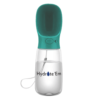 Hydrate'Em travel water bottle 550ml blue