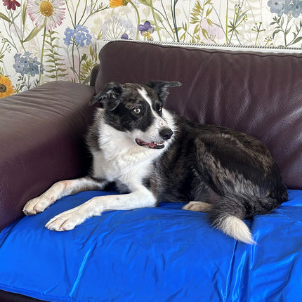 Cool'Em Cooling Mat – Keep Your Pet Comfortable on Hot Days