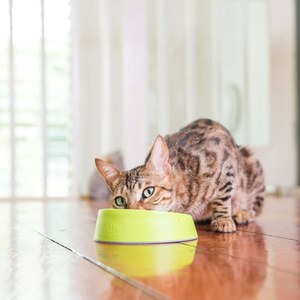 LickiMat® OH Bowl for Cats