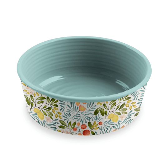 orchard coloured pattern on a white dog bowl, blue inside