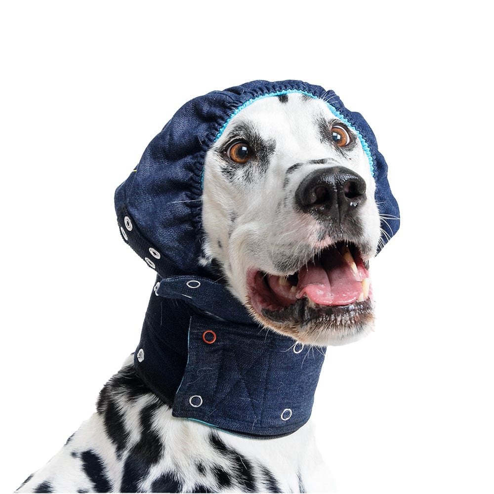dalmatian wearing a MPS® Head Cover