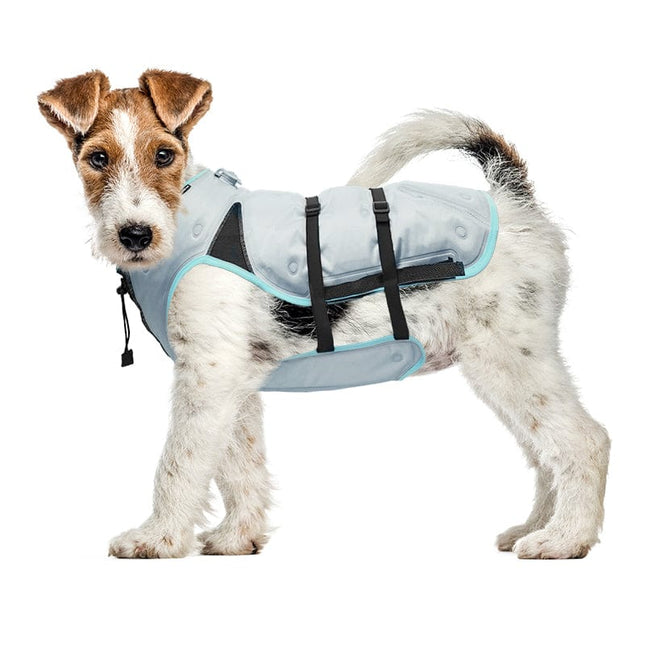 dog wearing a DRY® Cooling Vest for Dogs side view