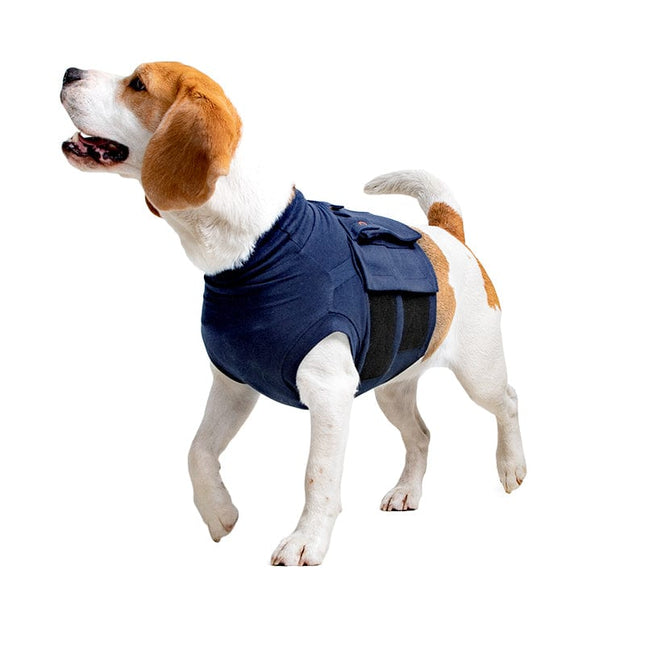 beagle wearing a MPS Protective Topshirt 4in1 for Dogs