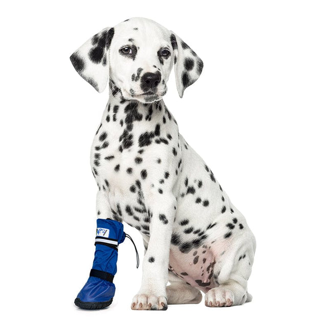 dalmatian puppy wearing a MPS® Medical PetS Boot