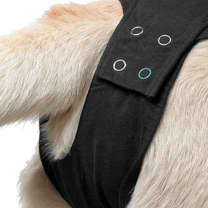 rear fastening of a Suitical Recovery Suit for Dogs