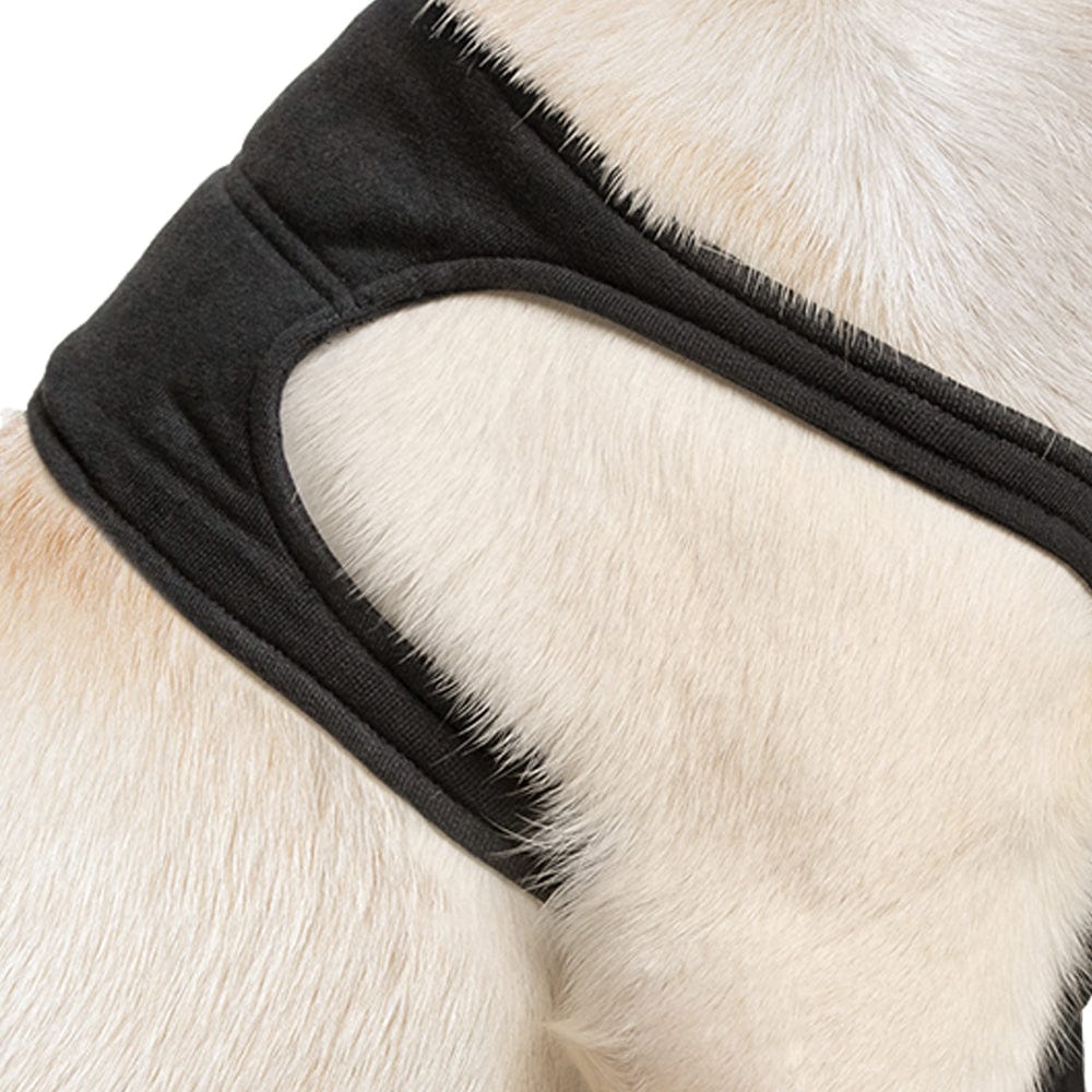 Close up of the good leg side of a Suitical front leg recovery sleeve for dogs