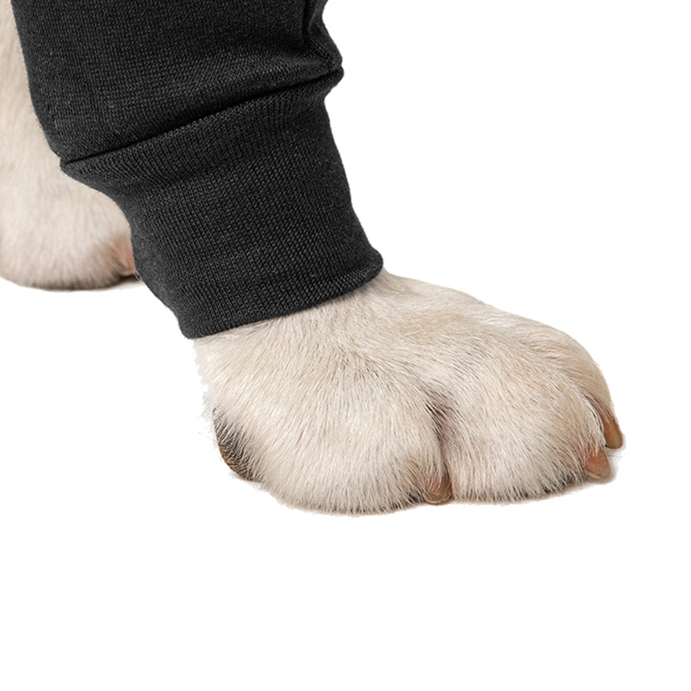 close up of the leg cuff of a Suitical front leg recovery sleeve for dogs