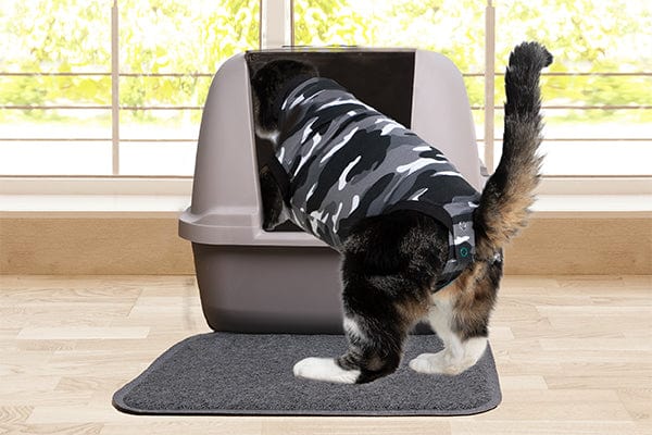 tabby cat getting in a litter box wearing a Suitical Recovery Suit for Cats

