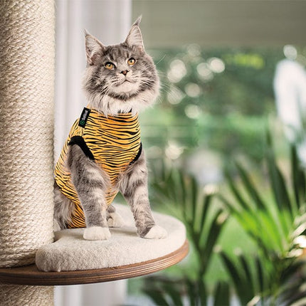 cat sitting on a cat tree wearing a tiger Suitical® Recovery Suit for Cats