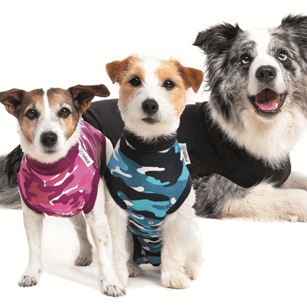 Suitical Recovery Suit for Dogs group shot showing colour options