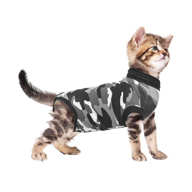 tabby kitten wearing a Suitical Recovery Suit for Cats