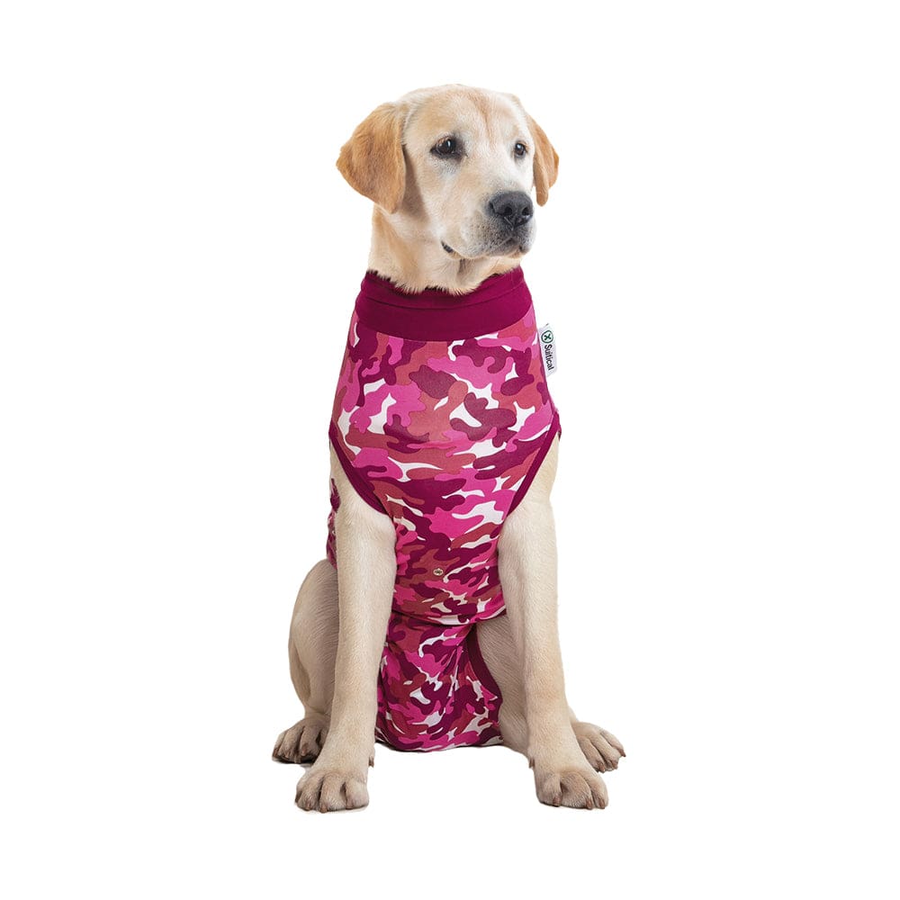 labrador wearing a pink Suitical Recovery Suit for Dogs