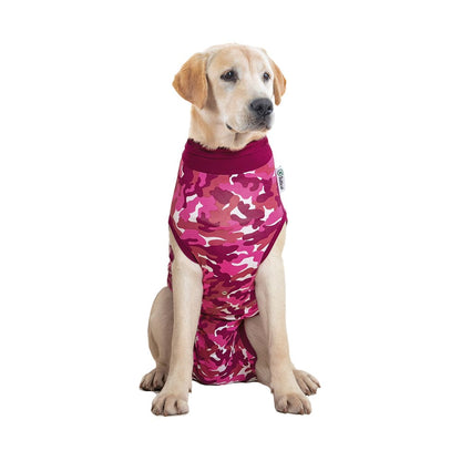 labrador wearing a pink Suitical Recovery Suit for Dogs