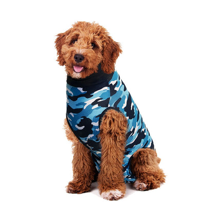 labradoodle wearing a blue Suitical Recovery Suit for Dogs