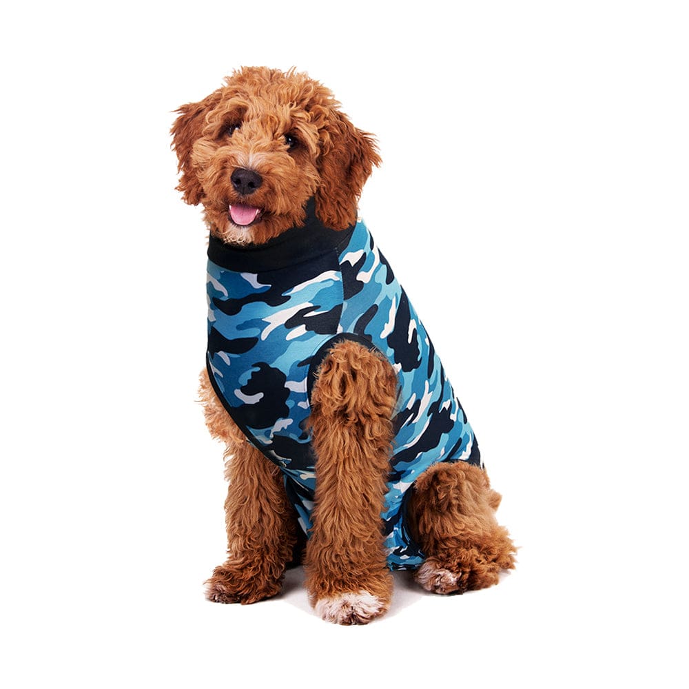 labradoodle wearing a blue Suitical Recovery Suit for Dogs