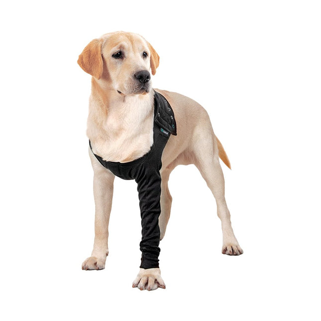 labrador wearing a Suitical front leg recovery sleeve for dogs