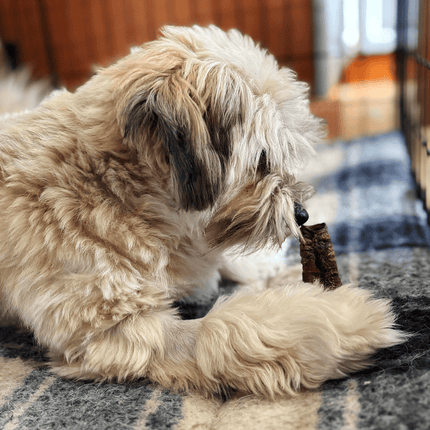 Natural Picks Buffalo Trachea