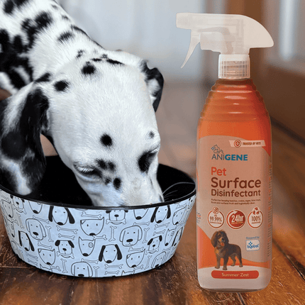 ANIGENE Home Range - Pet Surface Disinfectant 750ml