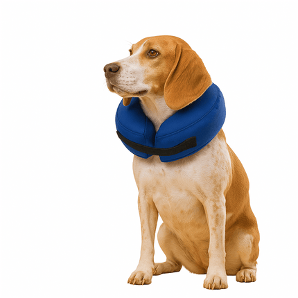 Inflatable Collar