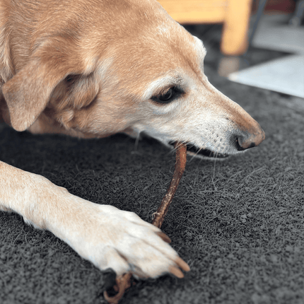 Natural Picks Lamb Pizzle