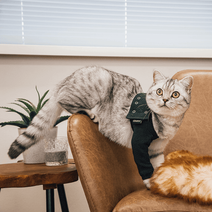 Suitical Recovery Sleeve for Cats – Black and Tiger Print