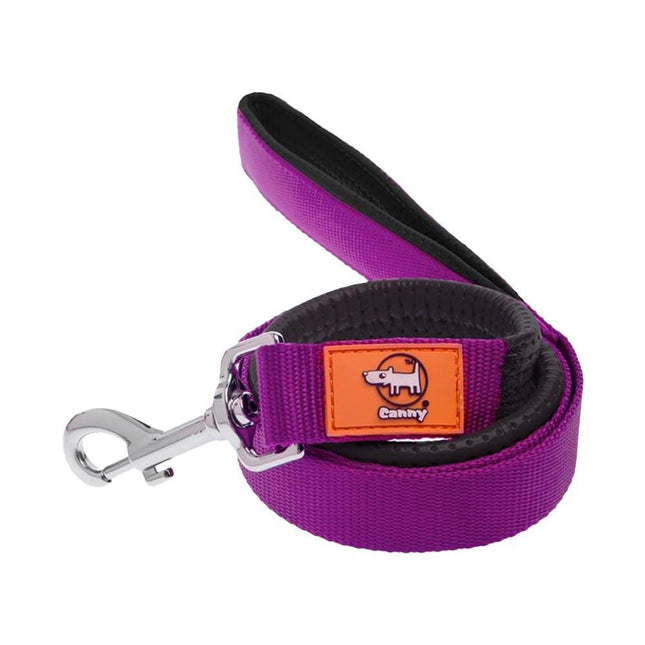 purple canny dog lead