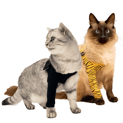 Two cats modeling suitical cat sleeves against a white background. 