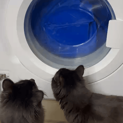 Pet Wash Bag
