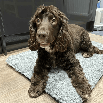 Snug'Em Ultra-Soft Pet Fleece Mat - Speckled