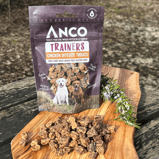 ANCO Trainers Chicken- 65g