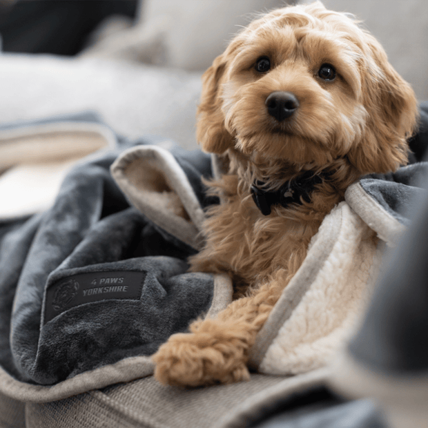 <h3>NEW <br/>100% Waterproof Blanket</h3>