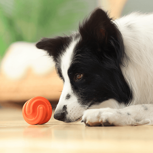 <h3>NEW <br/>Geo Sensory Enrichment Toys<br/><br/></h3>