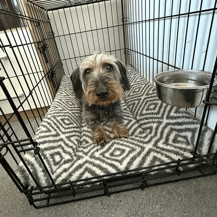 a dachshund in a crate on a diamond snug'em 