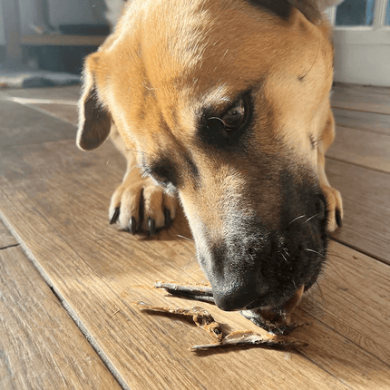 Natural Picks Sprats