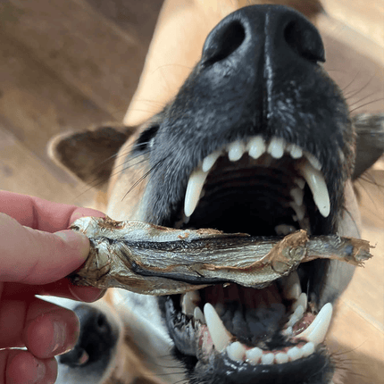 Natural Picks Sprats