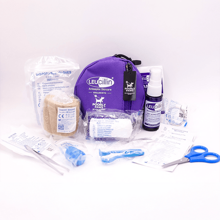 Leucillin Canine First Aid Kit