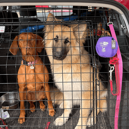 Leucillin Canine First Aid Kit
