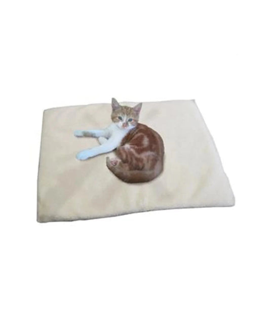 flectabed with ginger kitten laying on it