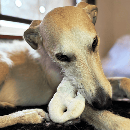 Natural Picks Puffed Pig Snout